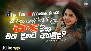 2024 Tik Tok Hit Songs මේ මාසේ හිට් උන ටික එක දිගට අහමු Tik Tok Hit Songs playlist 2024 [upl. by Lebiralc]