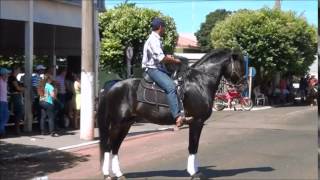 Taboadão Cavalgada 2014 [upl. by Aube]