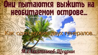 quotКАК МУЖИК ДВУХ ГЕНЕРАЛОВ ПРОКОРМИЛquot Краткий пересказ Герои Смысл МЕ СалтыковЩедрин [upl. by Sugna]