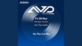 Its Ok Now Pat The Cat Afro Deep Mix [upl. by Airetal832]