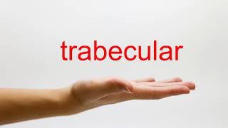 How to Pronounce trabecular  American English [upl. by Ydeh]