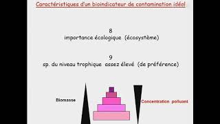 Écotoxicologie  Biomonitoring  Les Biomarqueurs [upl. by Mitzie]