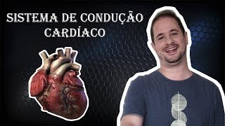 Sistema de Condução Cardíaco  Fisiologia Cardiovascular [upl. by Gigi]