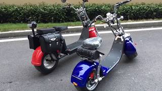 Citycoco electric scooter Rooder echopper harley escooter 2000w 3000w 4000w EEC COC wholesale price [upl. by Gifferd]