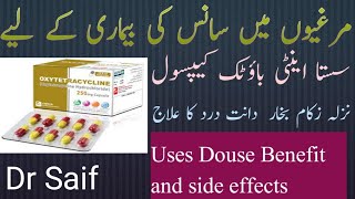 oxytetracycline capsules uses in Urdu oxytetracycline capsules benefits and side effects Dr Saif [upl. by Alhsa]