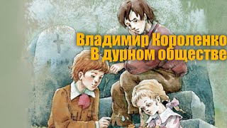 Владимир Короленко quotВ дурном обществеquot Дети подземелья [upl. by Elokkin]