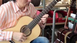 Hofner HM83 classical guitar demo [upl. by Ainud246]