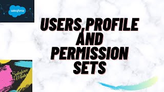 Salesforce Profiles Permission Sets Field Level Security [upl. by Airbmak]