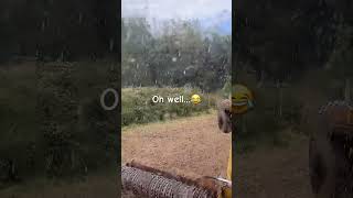 Rain stops play…… rain hail farming farmlife devon [upl. by Chappell919]