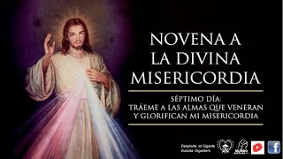 Día 7 ☆ Novena y Coronilla a la Divina Misericordia Meditada por el p Thaddaeus Lancton MIC [upl. by Beatriz163]