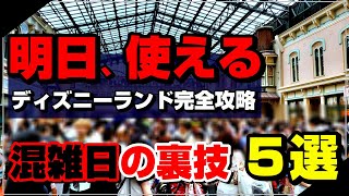 【2023年保存版】ディズニーランド大混雑日に上手く立ち回る裏技５選をサクサク紹介！ [upl. by Thetis]