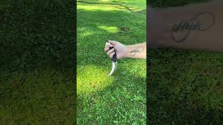 United Cutlery Honshu Karambit knife blades edc survival [upl. by Zawde126]