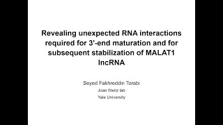 RNA interactions required for 3′end maturation of MALAT1 lncRNA  Talk by Seyed Torabi [upl. by Analah]