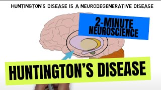 2Minute Neuroscience Huntingtons disease [upl. by Eissed234]