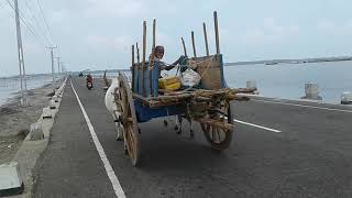 JaffnaManipayKarainagar road2018 [upl. by Ivad]