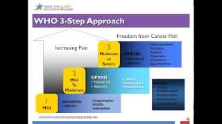 Competence in Cancer Care End of Life Care and Survivorship [upl. by Olethea876]