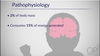 Therapeutic Hypothermia Treatment of Hypoxic Ischemic Encephalopathy Part 1 by D Casey [upl. by Tak]