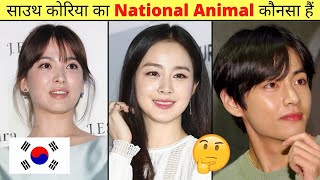 साउथ कोरिया का National Animal कौनसा हैं 🤔 shorts Amazing Facts About South Korea [upl. by Llerot]