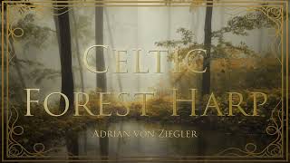 1 Hour of Relaxing Celtic Forest Harp [upl. by Alita]