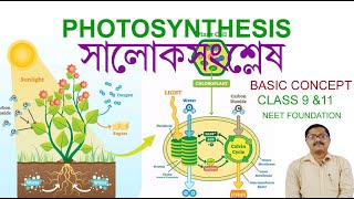 photosynthesis in higher plants class 9 neetসালোকসংশ্লেষlight and dark reactionclass 11 olympiad [upl. by Rieger225]