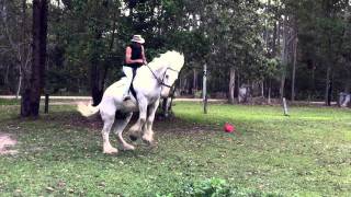 Bucked Off  Man thrown from saddle [upl. by Ahsrats]