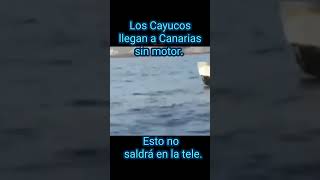 Los Cayucos llegan a Canarias sin motores [upl. by Eeram801]