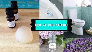 DIY bloc WC 100 naturel facile [upl. by Licec409]