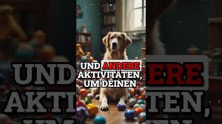 Effektive Methodenum dem Hund das Bellen abzugewöhnenSchritt für Schritt hundewissen hundefakten [upl. by Naujak]