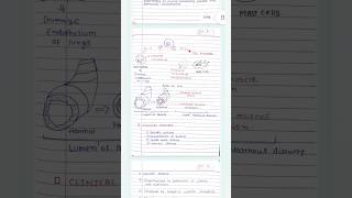 Bronchial Asthma Notes medicine lecture Asthma notes medicine mbbs shortsfeed shorts [upl. by Nedloh]