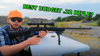 SAVAGE Model 64F 22LR SemiAuto Rifle REVIEW BEST Budget Buy [upl. by Rutger]