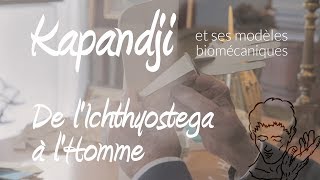 A Kapandji de lichthyostega à lHomme de la nageoire au membre supérieur [upl. by Verbenia75]