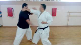 Haffa kata bunkai [upl. by Anoi]