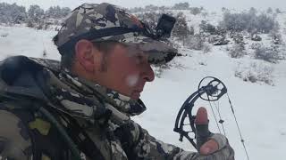 Onca gear Caza Con Arco del Jabali al rastro con nieve 2018  Bow hunting boars [upl. by Pleasant]