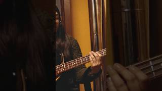 Procedimientos para llegar a un común acuerdo  Cover Bass [upl. by Ynavoj]