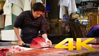 Tsukiji Fish Market  Tokyo  築地市場  4K Ultra HD [upl. by Goldsworthy607]