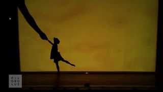 Shadowland by Pilobolus The Transformation [upl. by Sauers506]