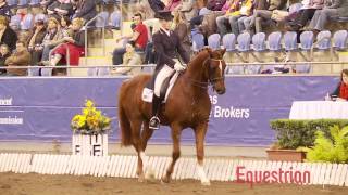 Robbie Soster and Robali Razzamatazz Zilo Inter I Freestyle Sydney CDI 2012 [upl. by Ennis418]