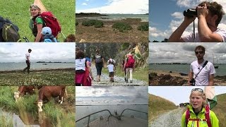 Gardien dîle ou colporteur un job insolite pour lété [upl. by Adnofal]