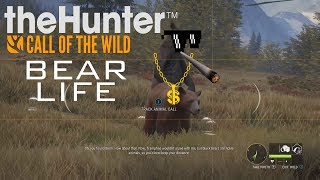 TheHunter Call of the Wild  Funny Compilation 2 [upl. by Nywled]