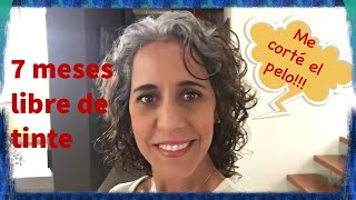 Mi corte de cabello con canas  7 meses libre de tinte Grey hair [upl. by Erodasi]