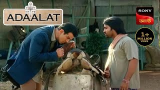 Adaalat  Bengali  Episode 144 And 145 Khooni Shashuri Part 1 [upl. by Ahseele]