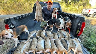 Hunting BIG SWAMP RABBITS with A PACK OF BEAGLES CATCH AND COOK [upl. by Yartnoed345]