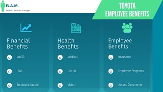 Toyota Employee Benefits  Benefit Overview Summary [upl. by Sterling9]