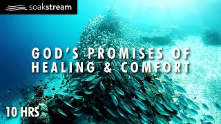 Gods Promises of Healing amp Comfort  10 Hour Scripture Soaking With Gods Word [upl. by Einahpts]