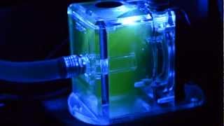 XSPC D5 vario amp Acrylic tank reservoir [upl. by Ytirev]