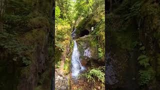 Nordschwarzwald  EdelfrauengrabWasserfälle [upl. by Erlin]