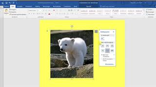 5 Afbeelding verplaatsen Word 2016 [upl. by Orva]