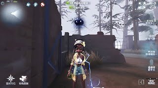 304 Enchantress  Pro Player  Sacred Heart Hospital  Identity V [upl. by Astera]