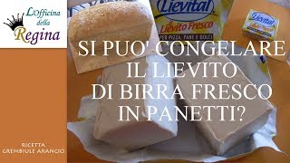 Come congelare il lievito di birra fresco in cubetti [upl. by Akirej338]