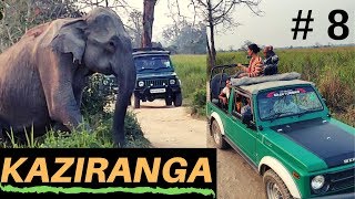 EP 8 Kaziranga National Park Jeep safari  Folk dance at Orchid park [upl. by Ysnat197]